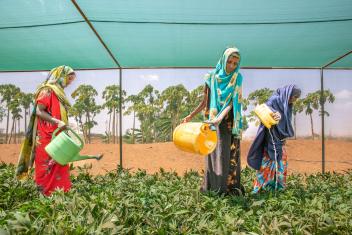 In Kenya, Mahada (left) and other farmers apply their training from Mercy Corps to help adapt to crises like the recent devastating drought.