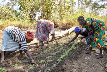 In South Sudan, where erratic weather patterns are driven by climate change, Mercy Corps is working with farmers as they improve their ability to recover from climate threats.