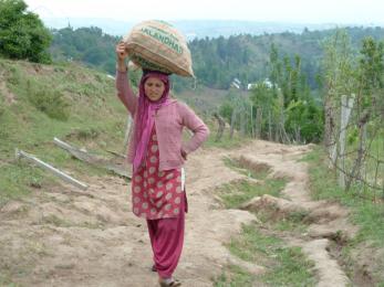 Farmer carrying bag of potato seed on her head, supported by her hand