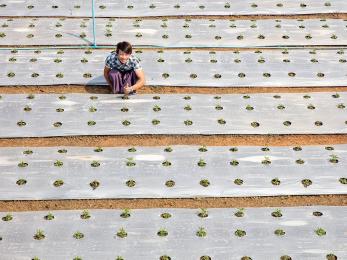 Han, 18, from myanmar, has been attending our farm productivity training. photo: ezra millstein/mercy corps