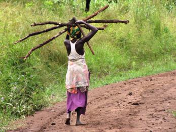 Woman in zimbabwe