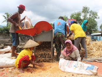 People working to remove hulls with a machine