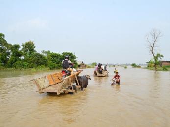 People navigating flooded area