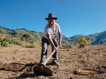 Natalio working soil with a hoe