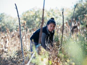 Olga, 16, attends a group training session at a demonstration plot in her community in guatemala. the agricultural education is part of mercy corps’ initiative to give guatemalan youth alternatives to migration.