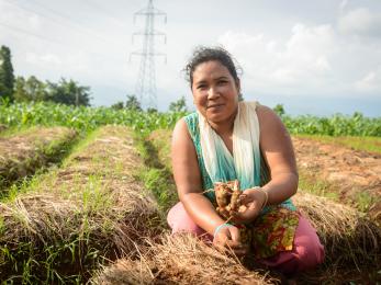 Santu once had a bountiful ginger harvest, but then lost it all to disease. a mercy corps program helped her build back her farm and prepare for the future. photo: miguel samper for mercy corps