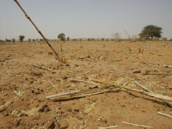 Recurring droughts have left the land in niger dry and cracked, causing harvests to fail. photo: cassandra nelson/mercy corps