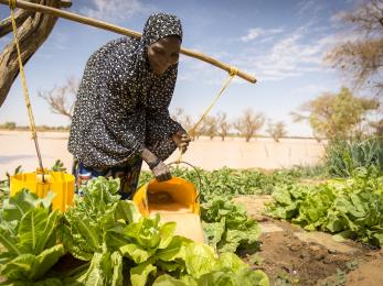 Woman tending crops