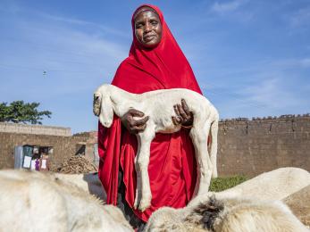 Jummai abdullahi holding a goat and surrounded by more goats