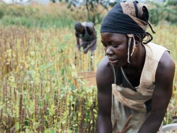 Woman working in a field