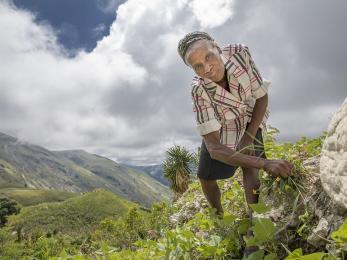 With mercy corps' help, neyis is replanting her crops after hurricane matthew destroyed them last year. 