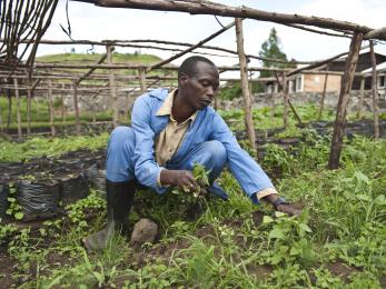 Man farming