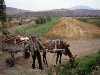 Man farming