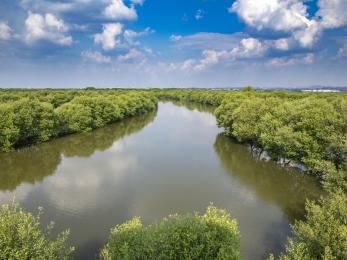 Natural landscape in indonesia