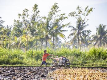 Pak sahwil, 42, plows his fields. he is a rice farmer on lombok in eastern indonesia. photo: ezra millstein