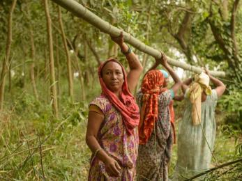 Women holding bamboo