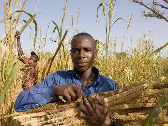 Farmer holding crops