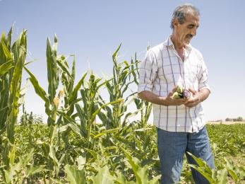 Abu goubran pictured in a green field