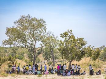 People gathering under trees