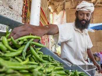 A bearded man reaching into a crate of green beans
