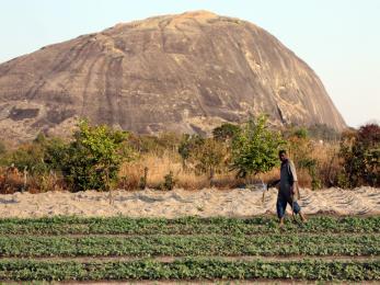 Man farming