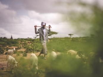 Mercy corps sees the threat of climate change in many places where we work. in ethiopia and around the world, we’re helping people adapt to increasingly unpredictable rainfall and weather, because we know their food, health and lives depend on it. photo: sean sheridan for mercy corps