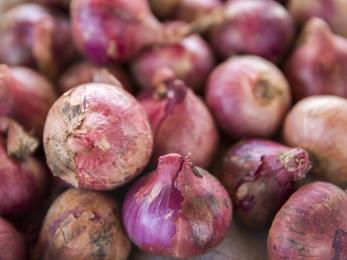 A pile of red onions.