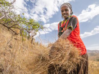 An adult smiles for the camera while cutting grass on a hill in ethiopia.