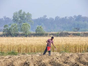 Nepalese farmer in agricultural setting.