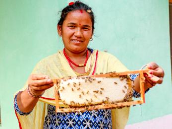 A person holding a honeycomb.