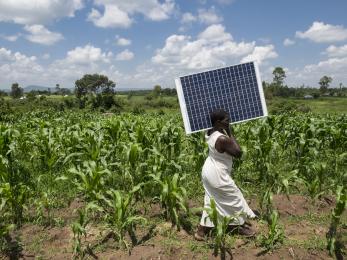 A person walks along a field with a solar panel on their shoulder.