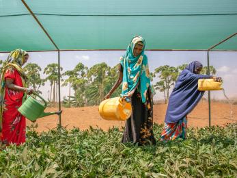 Three people watering plants.