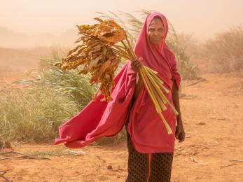 In wajir, kenya, amina abdi holds withered animal feed while heavy winds blow sand through her village. 