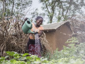 A person watering plants.