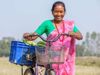 Bindra devi choudhary, 49, brings her bananas to the market on the back of her bicycle.