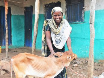 A livestock producer in erer town in somali region of ethiopia