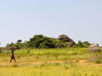 A person carrying lumber.