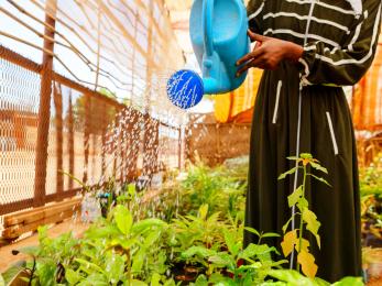 A person watering plants with a blue plastic watering can.