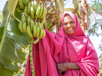 A person standing next to a fruiting banana tree.