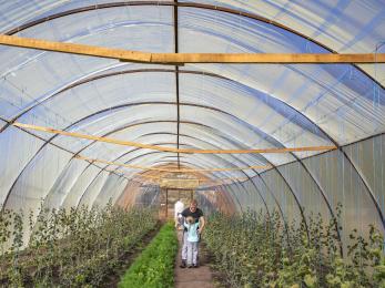 A grandparent hugs their grandchild in their family's greenhouse.