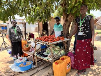 A few people selling fruit and sundries.