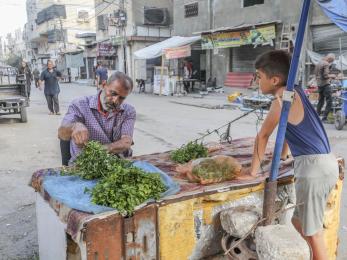 Palestinian street vendors prepares herbs to be sold as child looks on.