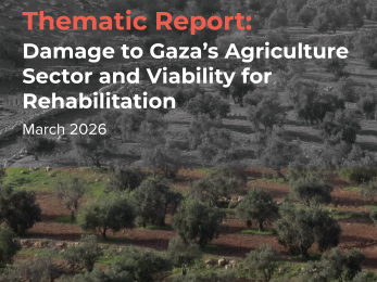 Cover image, with title, of research report.