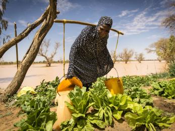 A person farming.