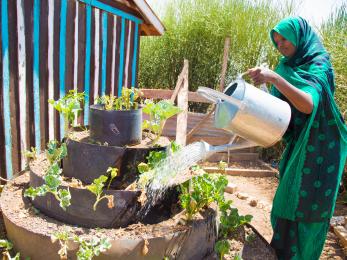 A person watering plants.