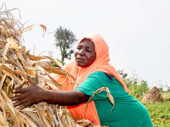 A farmer working with crops.