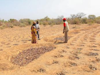 Two community members and a mercy corps employee engage in a agricultural setting.
