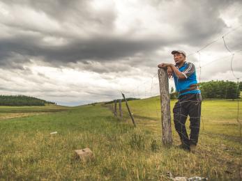 Mongolian farmer looking over a landscape view of agricultural land.