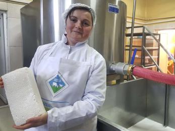 A person holds a cheese block in a cheese making facility.