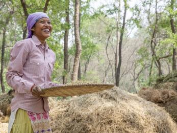 A person separating lentils from chaff.